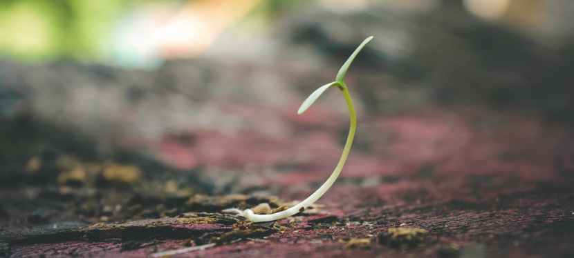 Quote of the Day&nbsp;10/12/19